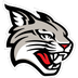 Davidson Wildcats