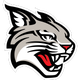 DAVIDSON WILDCATS