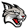 Davidson Wildcats