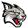 DAVIDSON WILDCATS