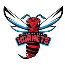 Delaware State Hornets