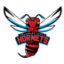 Delaware State Hornets