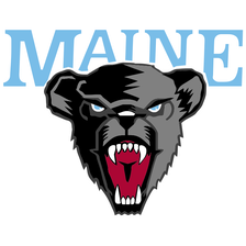 Maine Black Bears
