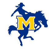 McNeese Cowboys