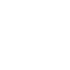 Michigan State Spartans