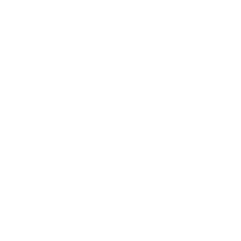MICHIGAN STATE SPARTANS