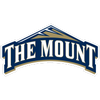 Mount St. Mary's Mountaineers