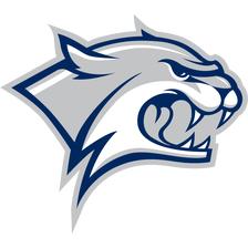 New Hampshire Wildcats