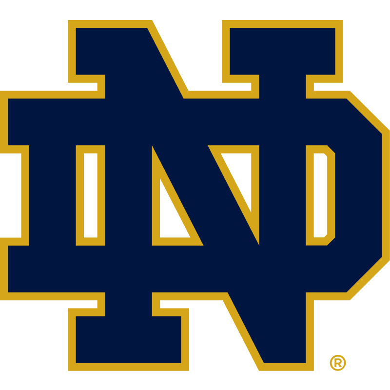 NCAA Notre Dame Fighting Irish 23 LeBron James Earth Yellow High School Men  Jersey