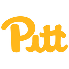Pittsburgh Panthers