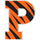 Princeton Tiger