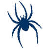 Richmond Spiders