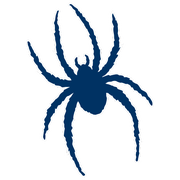 Richmond Spiders