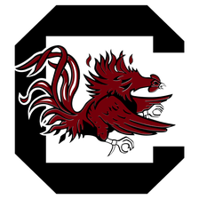 South Carolina Gamecocks