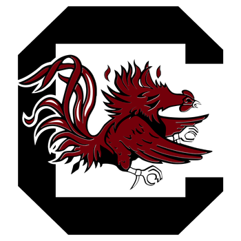 South Carolina Gamecocks News College Football Fox Sports South Carolina Gamecocks News College Football Fox Sports