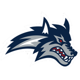 Stony Brook Seawolves