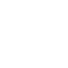 Tennessee Volunteers