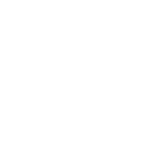 Texas Longhorns