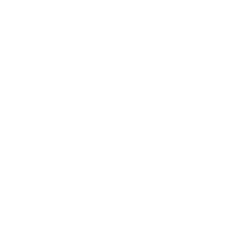 UTAH UTES