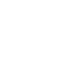 Washington State Cougars