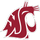 Washington state cougars