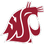 WASHINGTON STATE COUGARS