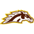 Western Michigan Broncos