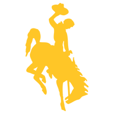 Wyoming Cowboys