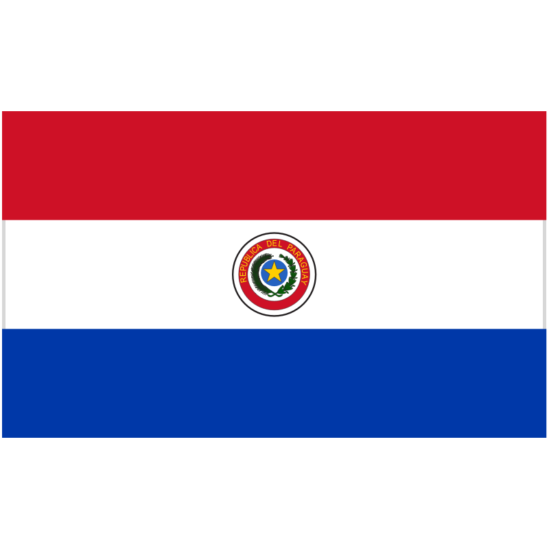 Paraguay Team News - Soccer