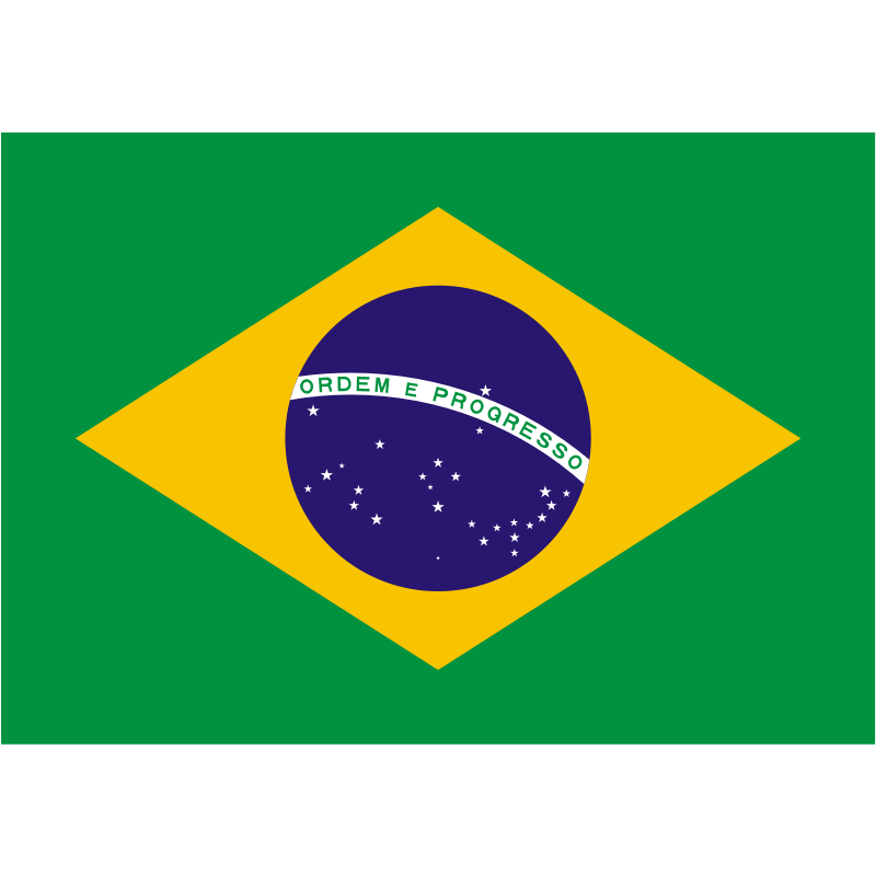 Brazil Women Team News - Soccer