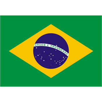 Brazil Team News - Soccer