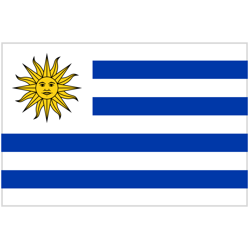 Uruguay Team News - Soccer