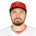 Travis d'Arnaud