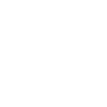 DETROIT TIGERS