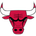 Chicago Bulls