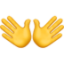 Hands
