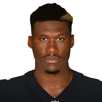 DAVID IRVING