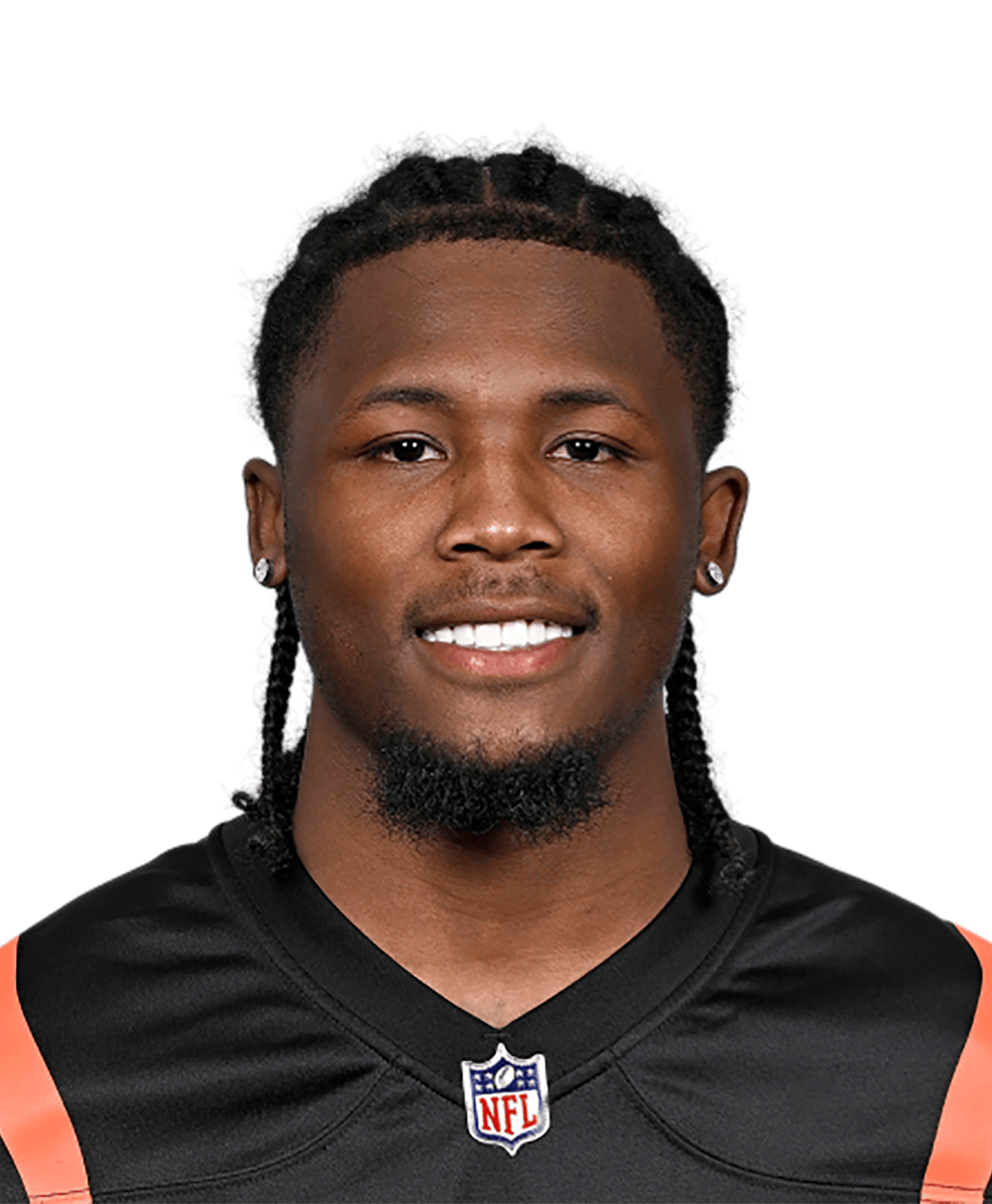 Bengals WR Tee Higgins Suffers Rib Fracture