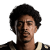TJ Hall Jr.