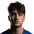 Dominic Zvada