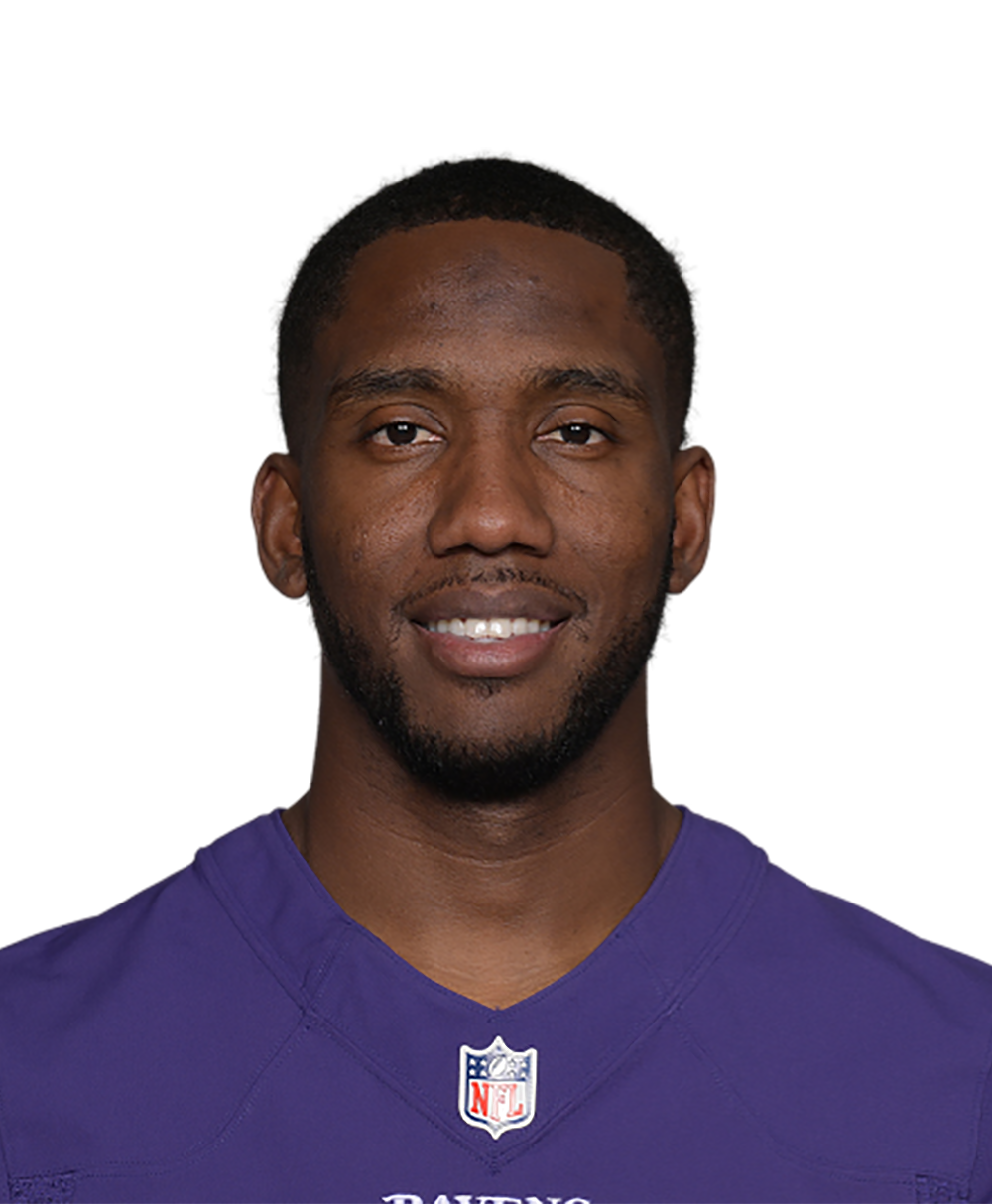 Baltimore Ravens quarterback Josh Johnson (17) passes against the