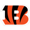 Cincinnati Bengals