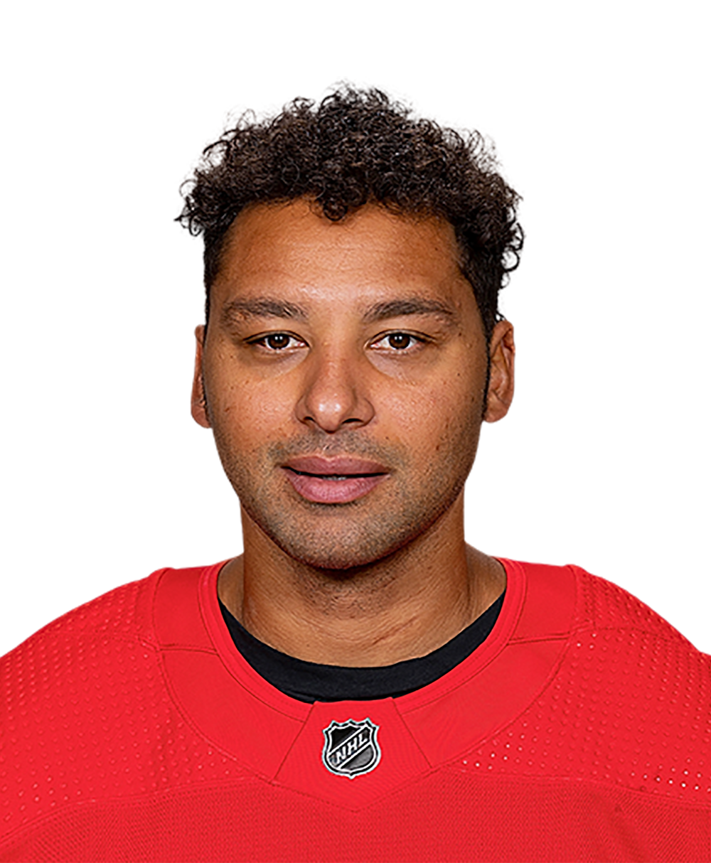 Red Wings' Trevor Daley among hockey diversity alliance fighting