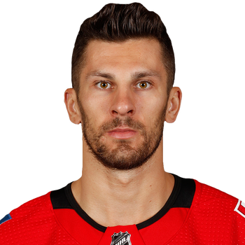 MAREK HRIVIK