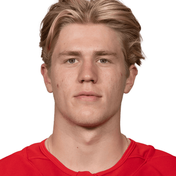 MICHAEL BRANDSEGG-NYGÅRD