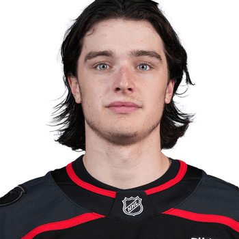 DOMINIK BADINKA