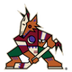 ARIZONA COYOTES