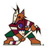 ARIZONA COYOTES