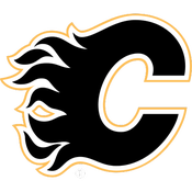 calgary flames cgy hat