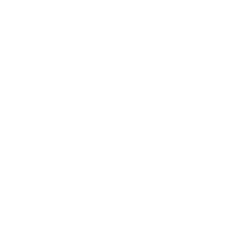 MANLY WARRINGAH SEA EAGLES
